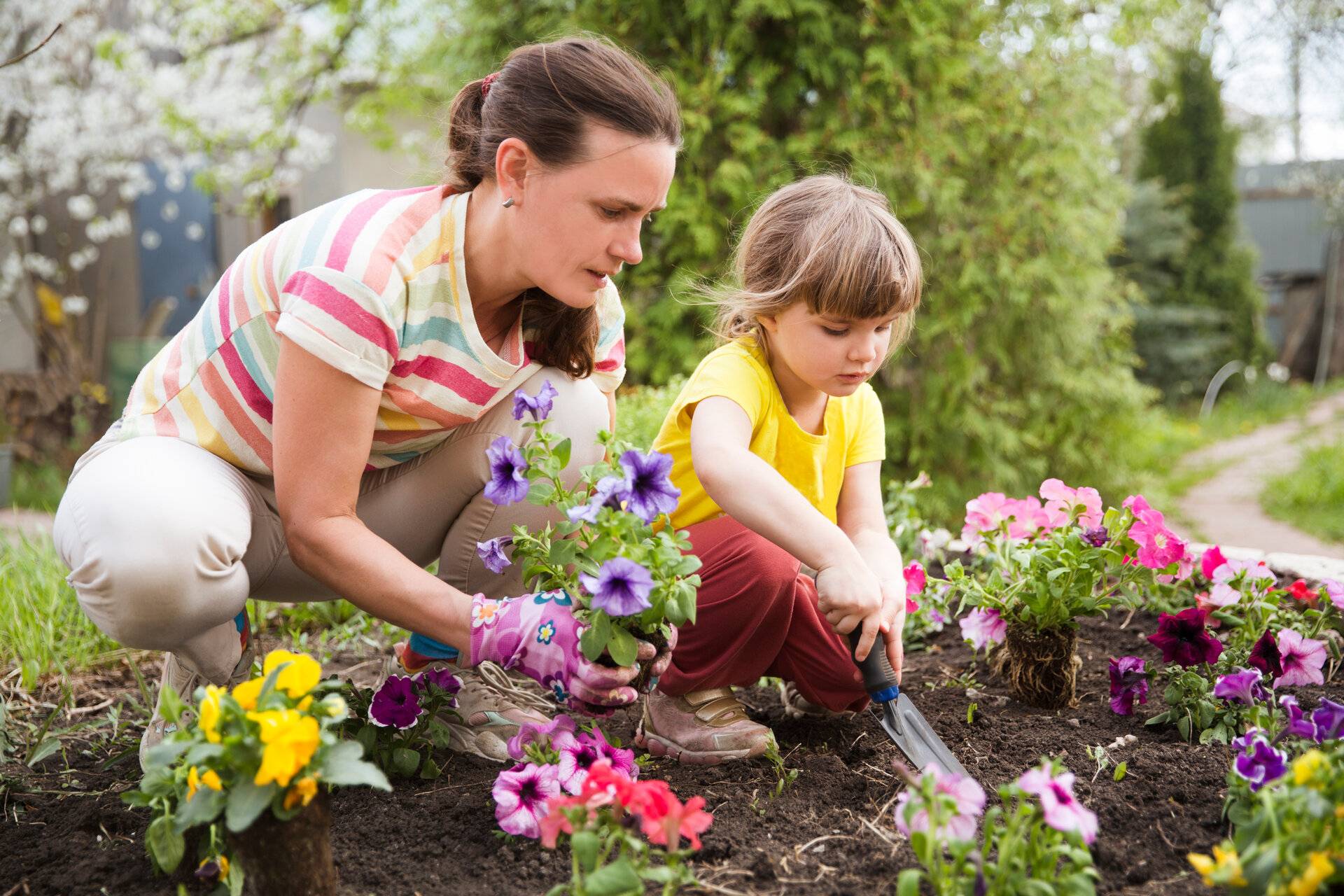 Mutter und Kind pflanzen Blumen im Garten, das Kind hilft der Mutter bei der Gartenarbeit