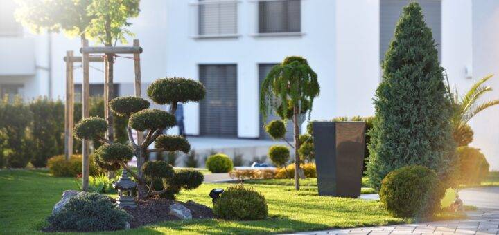 Ein Garten mit verschiedenen Dekorationen