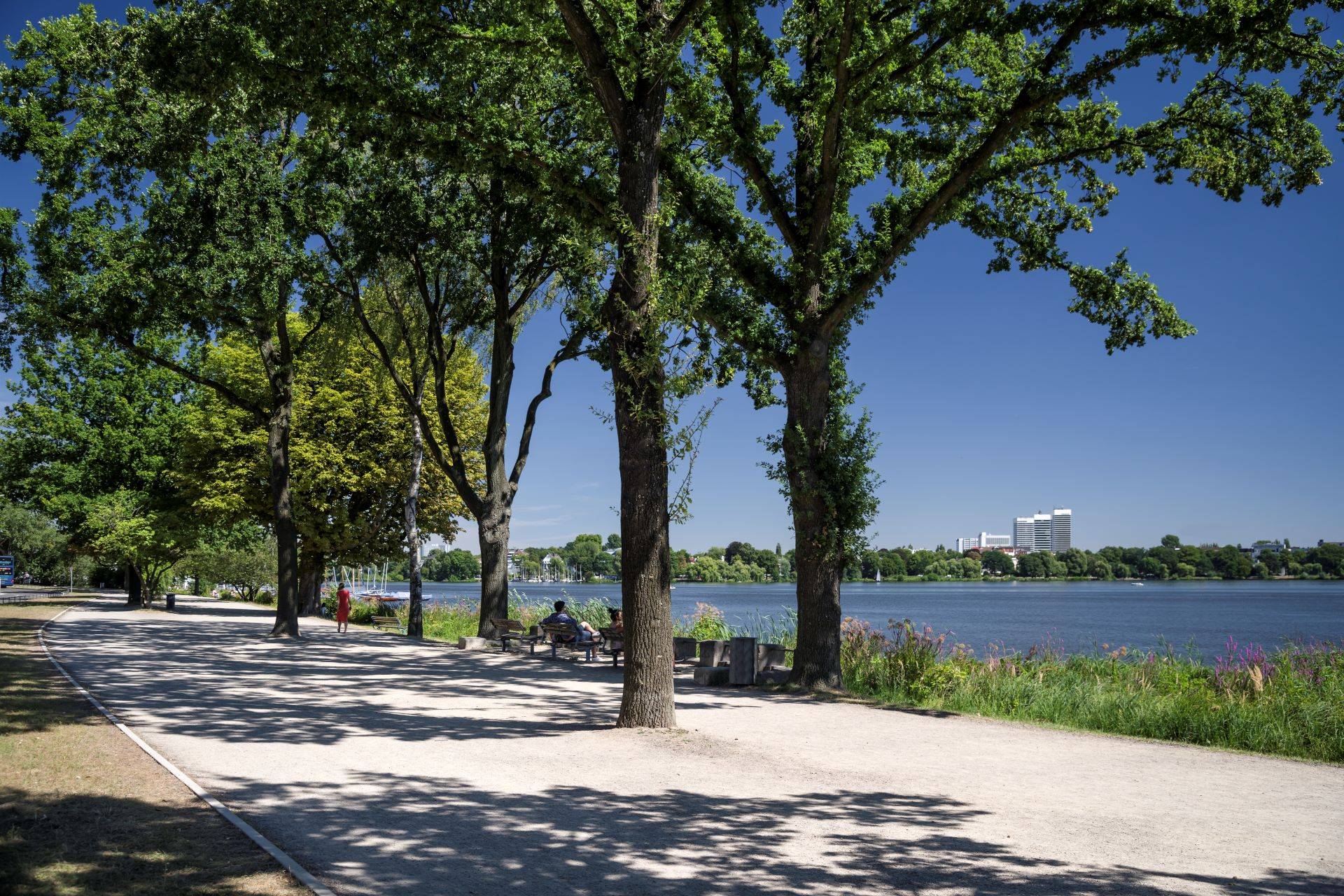 Spazierweg an der Außenalster mit Blick auf das Wasser.