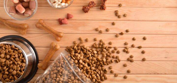 Bio Hundefutter in Napf und Trockensnacks fuer Hunde auf Holzuntergrund ausgebreitet