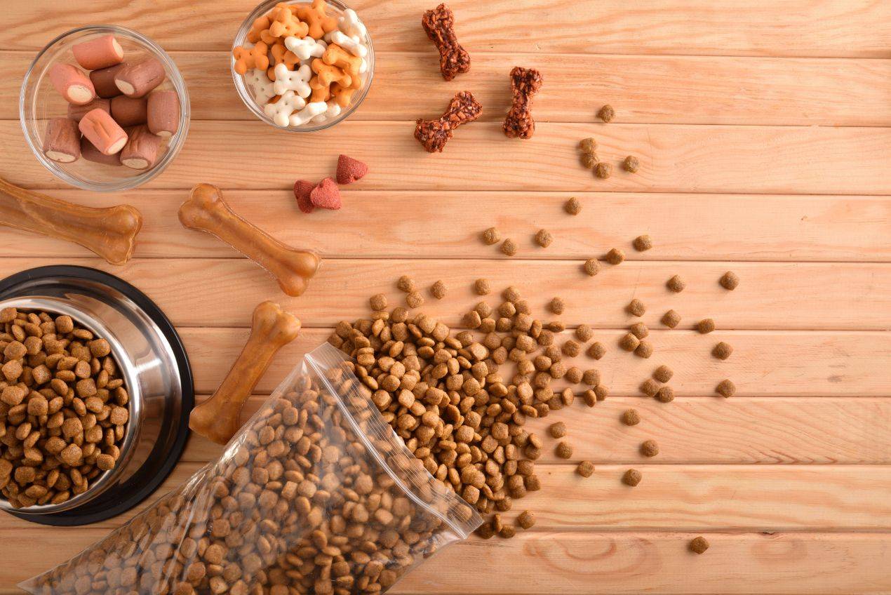 Bio Hundefutter in Napf und Trockensnacks fuer Hunde auf Holzuntergrund ausgebreitet